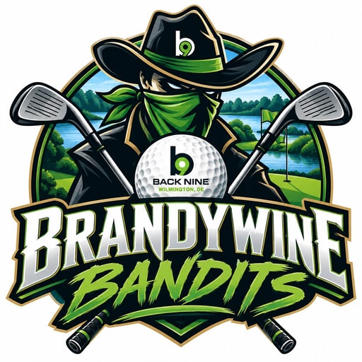 Team sponsor